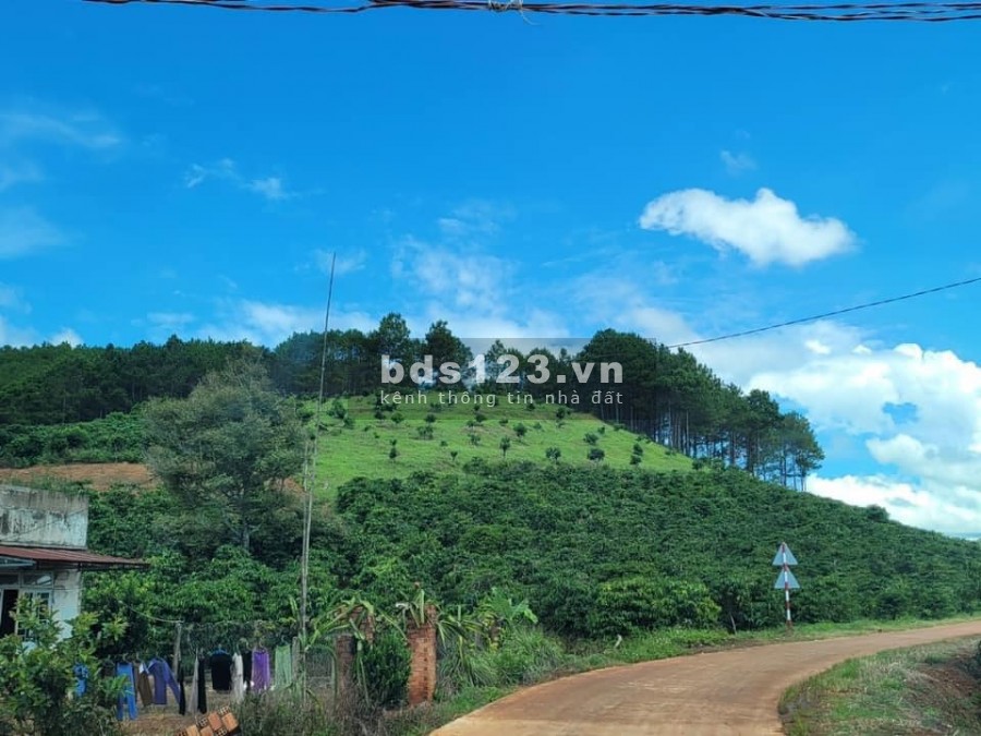 Giá chỉ 1.1 tỷ sở hữu ngay 910m2 đất Đông Thanh có nhà sẵn…