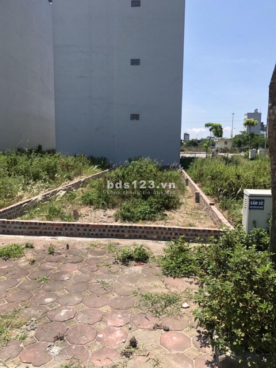 Bán đất Trâu Quỳ -Khu tái định cư View Vườn hoa dtsd 50m2 giai đoạn 1 liên hệ 0982852808