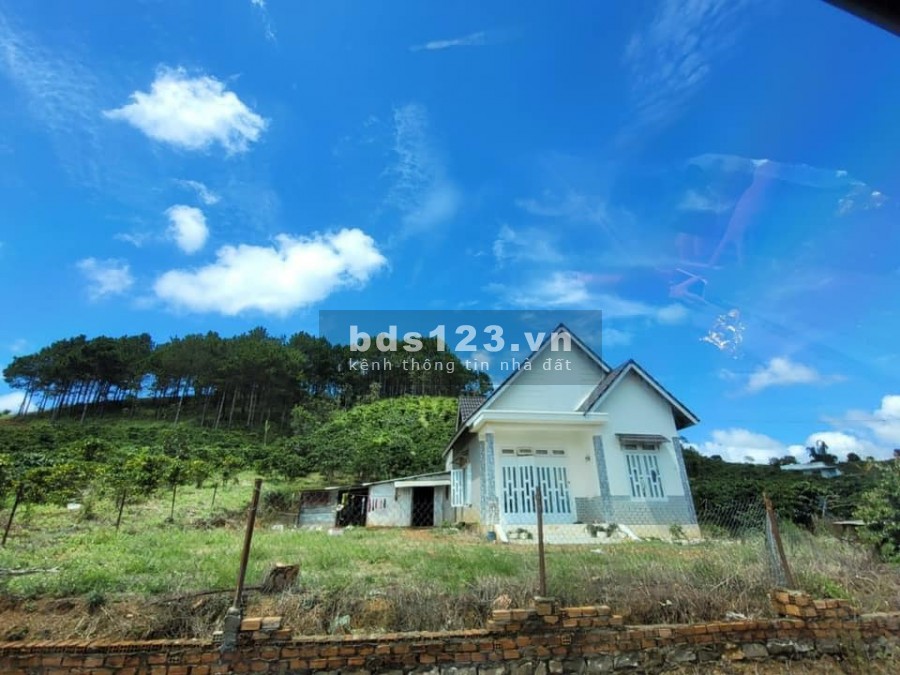 Giá chỉ 1.1 tỷ sở hữu ngay 910m2 đất Đông Thanh có nhà sẵn…