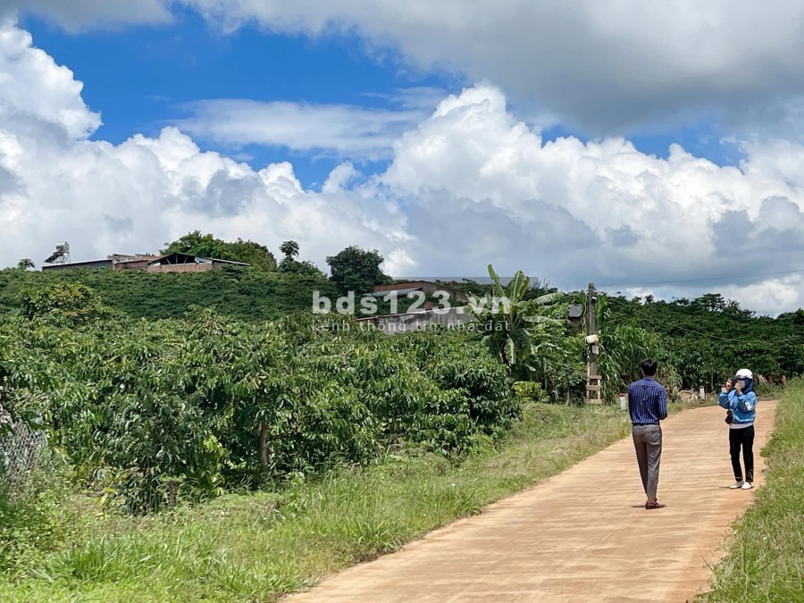 Giá chỉ 1.1 tỷ sở hữu ngay 910m2 đất Đông Thanh có nhà sẵn…