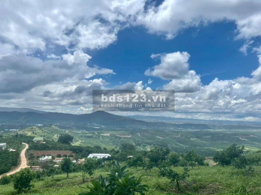 Giá chỉ 1.1 tỷ sở hữu ngay 910m2 đất Đông Thanh có nhà sẵn…