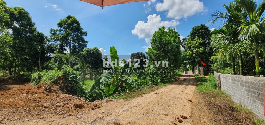 Bán nhanh lô đất đẹp bám suối tại Lạc Sơn với giá vài trăm triệu, đầy đủ pháp lý sang nhượng