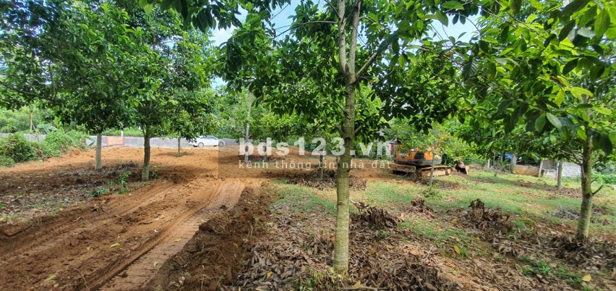 Bán nhanh lô đất đẹp bám suối tại Lạc Sơn với giá vài trăm triệu, đầy đủ pháp lý sang nhượng