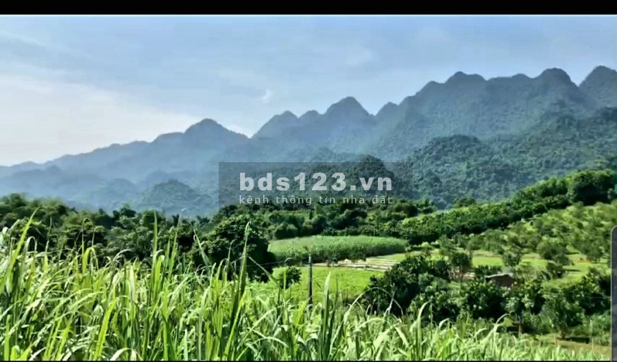 Bán nhanh mảnh đất diện tích 1150m2 có 500m2 thổ cư tại Mỹ…