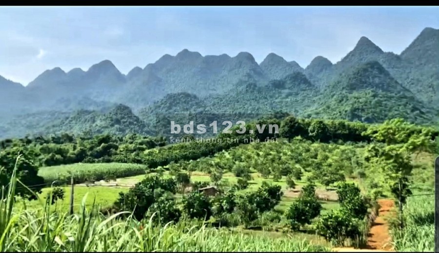 Bán nhanh mảnh đất diện tích 1150m2 có 500m2 thổ cư tại Mỹ…