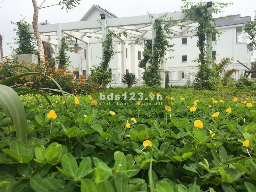 Cần bán liền kề diện tích sử dụng dt 156m2, tại khu đô thị Time Garden Vĩnh Yên, lh 0982535280