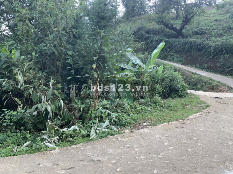 Bán mảnh khu du lịch Biển Mây ở Phan Cán Sử, Y Tý (SaPa 2) giá thoả thuận, tiện đầu tư