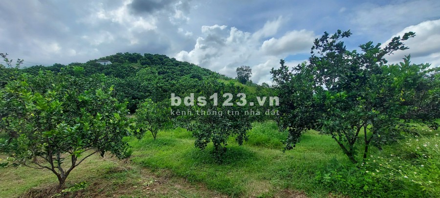 Với giá vài trăm nghìn đồng/1m2 thì bạn sẽ đầu tư được gì đường ngõ rộng 5m giá tốt