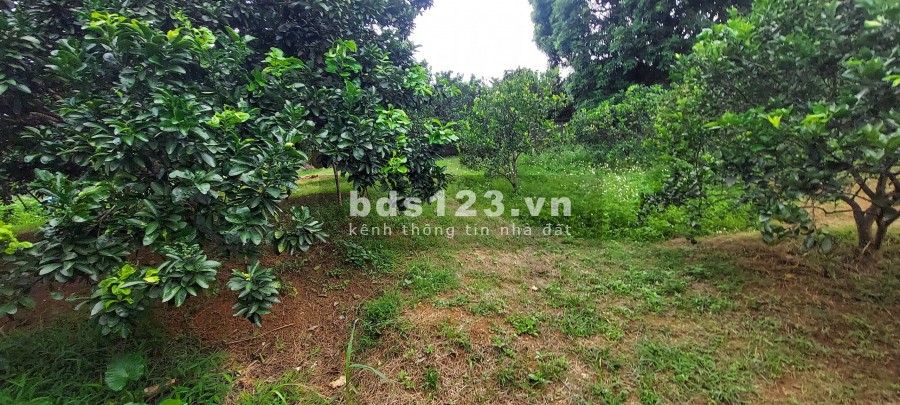 Với giá vài trăm nghìn đồng/1m2 thì bạn sẽ đầu tư được gì đường ngõ rộng 5m giá tốt