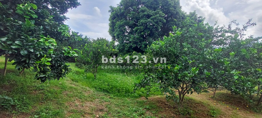 Với giá vài trăm nghìn đồng/1m2 thì bạn sẽ đầu tư được gì đường ngõ rộng 5m giá tốt