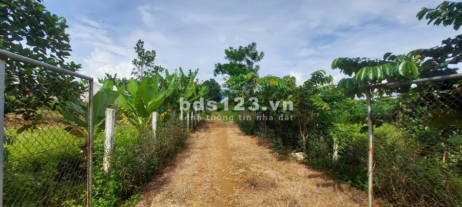 Với giá vài trăm nghìn đồng/1m2 thì bạn sẽ đầu tư được gì đường ngõ rộng 5m giá tốt
