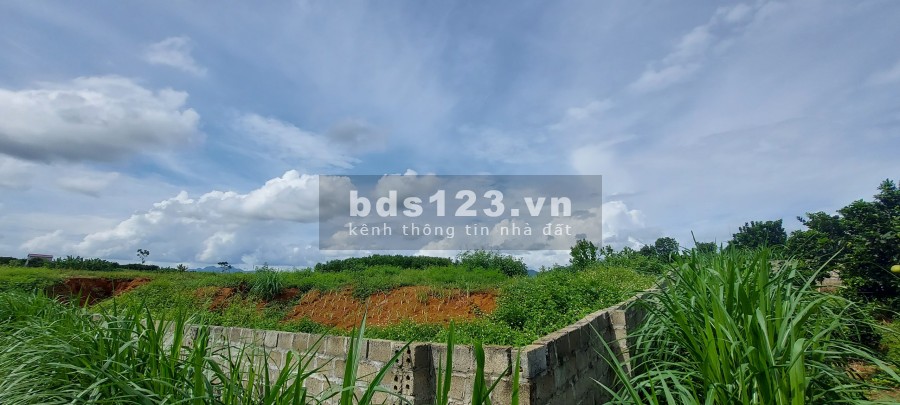 Với giá vài trăm nghìn đồng/1m2 thì bạn sẽ đầu tư được gì đường ngõ rộng 5m giá tốt