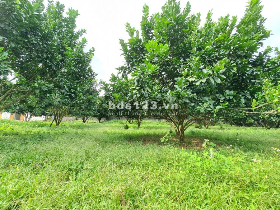 Siêu phẩm 4.500m2 có 1.500m2 thổ cư bám Sông Bôi tuyệt đẹp giá bán 3.3 tỷ, sổ sẵn