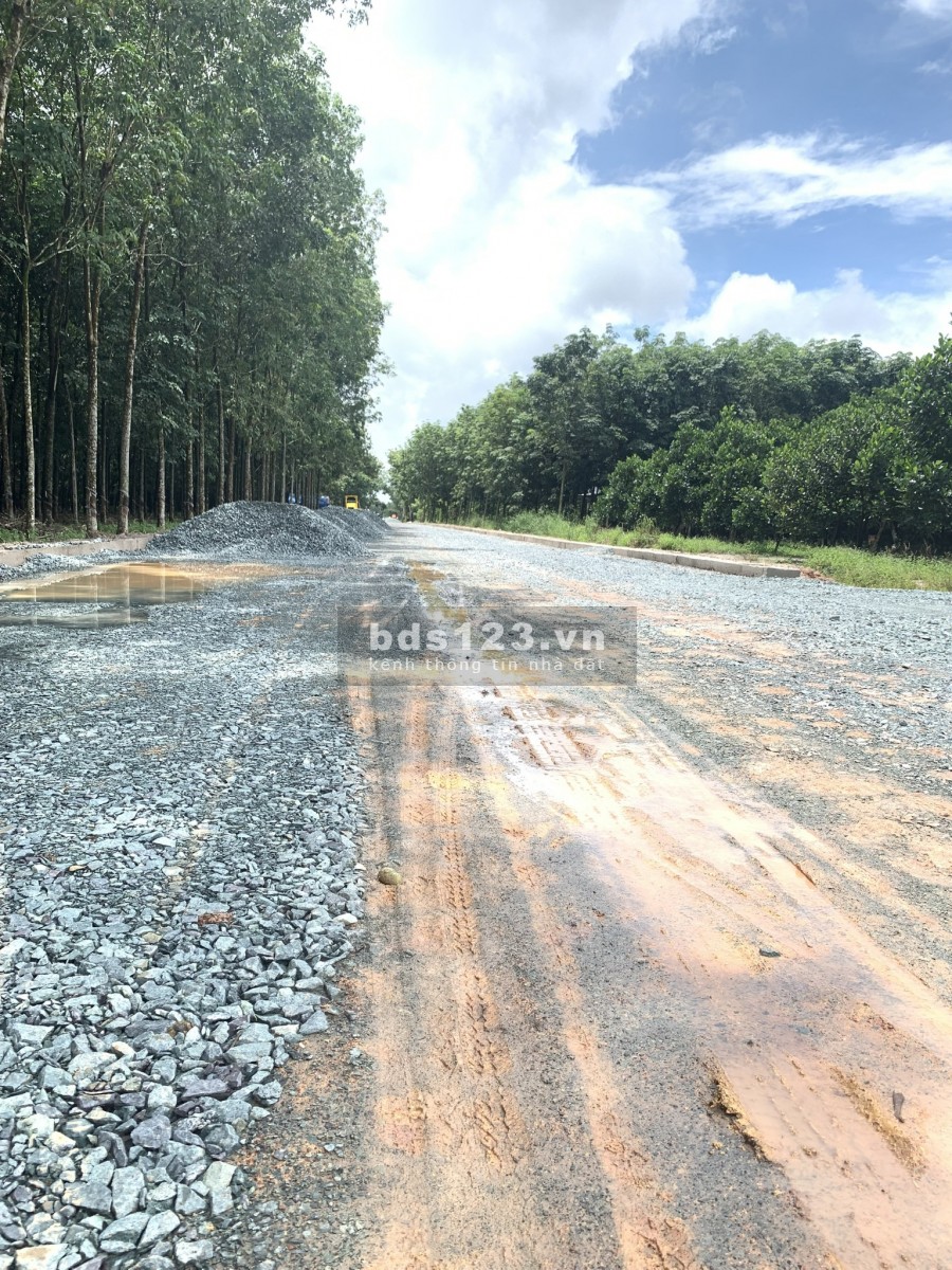 Bán đất nhánh đường lớn DH05 đang lên nhựa, gần KCN Minh Hưng 3 Chơn Thành