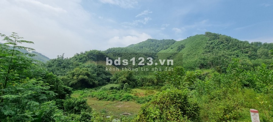 Cần bán 10ha đất rừng sản suất tại Kim Bôi Hòa Bình liên hệ 0833066663, giá bán 1.7 tỷ