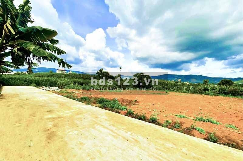 Lô đất diện tích 550m2, cần bán nhanh giá 675 triệu gần trung tâm xã Gia Lâm, Lâm Hà
