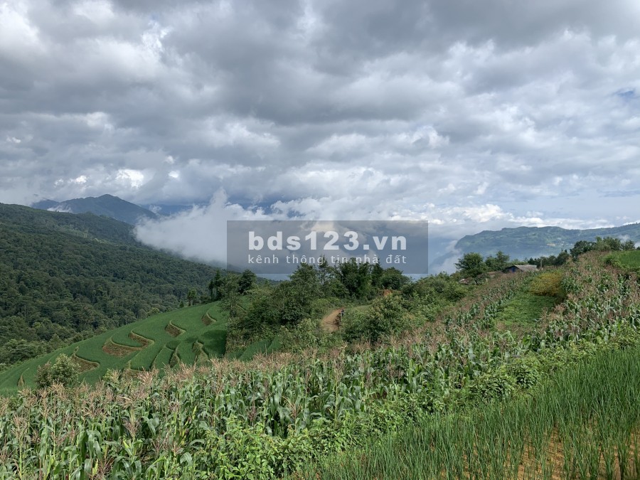 Đất nghỉ dưỡng SAPA2 đầu tư lợi nhuận cao, tính thanh khoản nhanh mặt tiền đường lớn