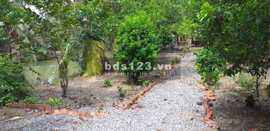 Mặt tiền đường nhựa 576 xã Trung Lập Hạ cách TL2 vài trăm mét đất quy hoạch dân cư DT 7500m2