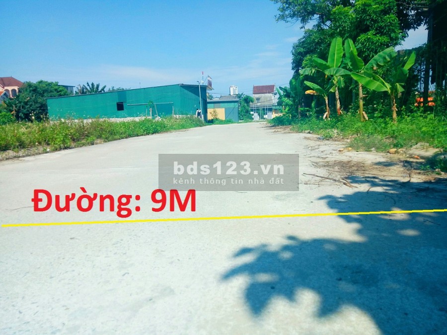 Bán đất ngõ đường Nguyễn Tiềm phường Đội Cung, thành phố Vinh giá bán 1.25 tỷ
