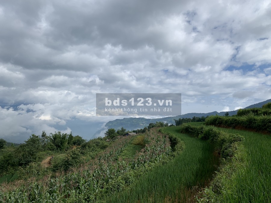 Đất nghỉ dưỡng SAPA2 đầu tư lợi nhuận cao, tính thanh khoản nhanh mặt tiền đường lớn