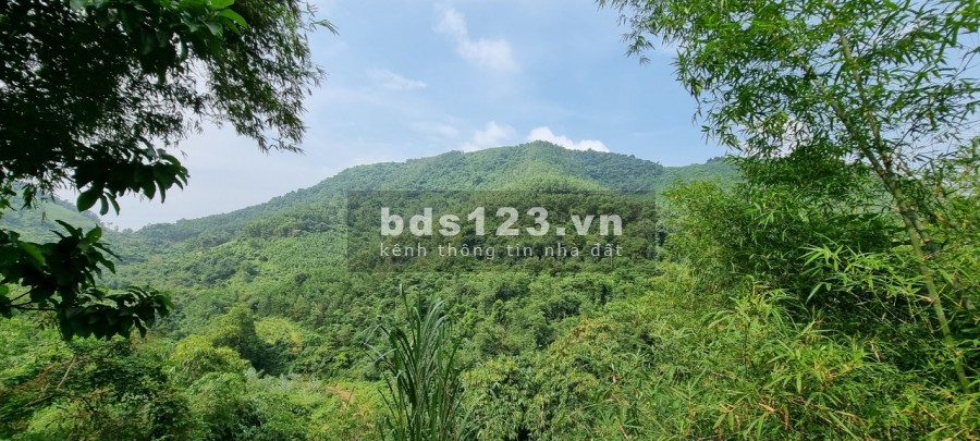 Cần bán 10ha đất rừng sản suất tại Kim Bôi Hòa Bình liên hệ 0833066663, giá bán 1.7 tỷ