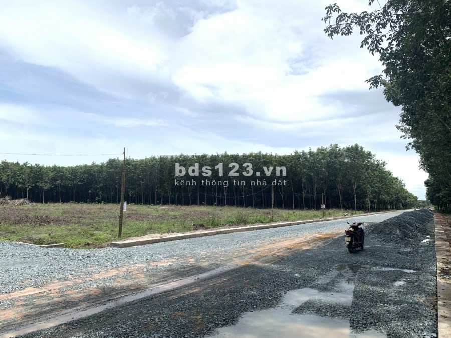 Bán đất nhánh đường lớn DH05 đang lên nhựa, gần KCN Minh Hưng 3 Chơn Thành