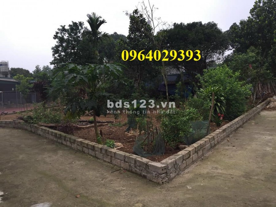 Bán đất giá từ 620 triệu sổ đỏ trao tay ô tô vào tận nhà tại Hòa Lạc tiện đầu tư sinh lời