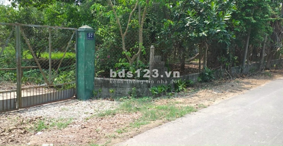 Mặt tiền đường nhựa 576 xã Trung Lập Hạ cách TL2 vài trăm mét đất quy hoạch dân cư DT 7500m2
