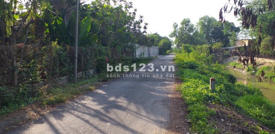 Mặt tiền đường nhựa 576 xã Trung Lập Hạ cách TL2 vài trăm mét đất quy hoạch dân cư DT 7500m2