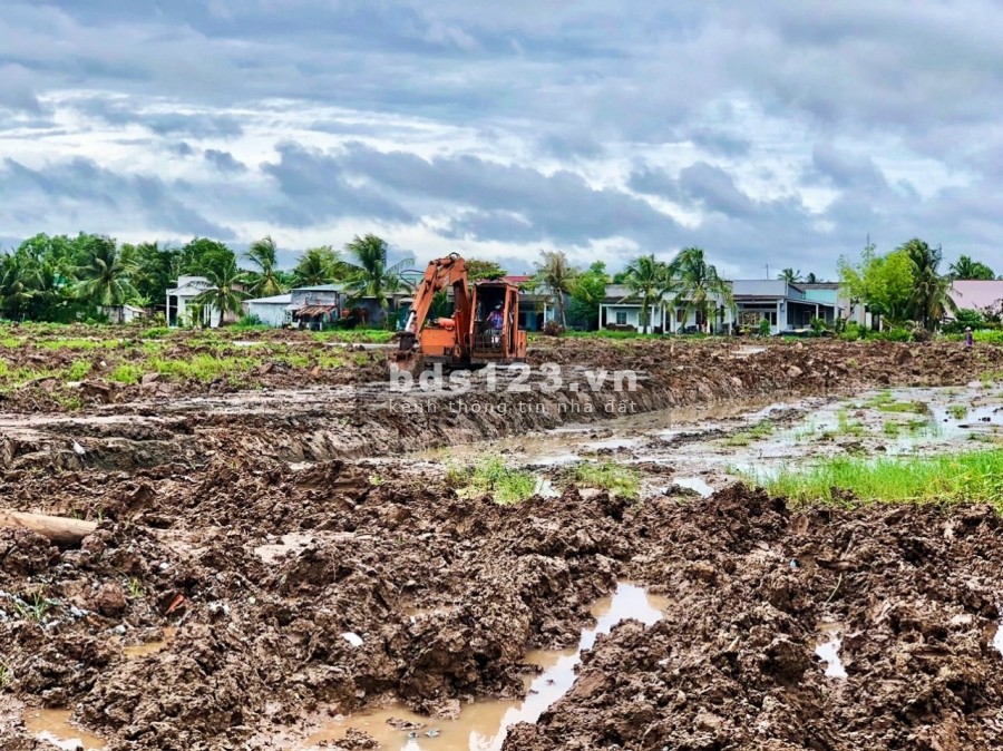 Đất nền Lúa Non chỉ 300 triệu dt 100m2 khu dân cư ven sông Hoà Bình - Bạc Liêu