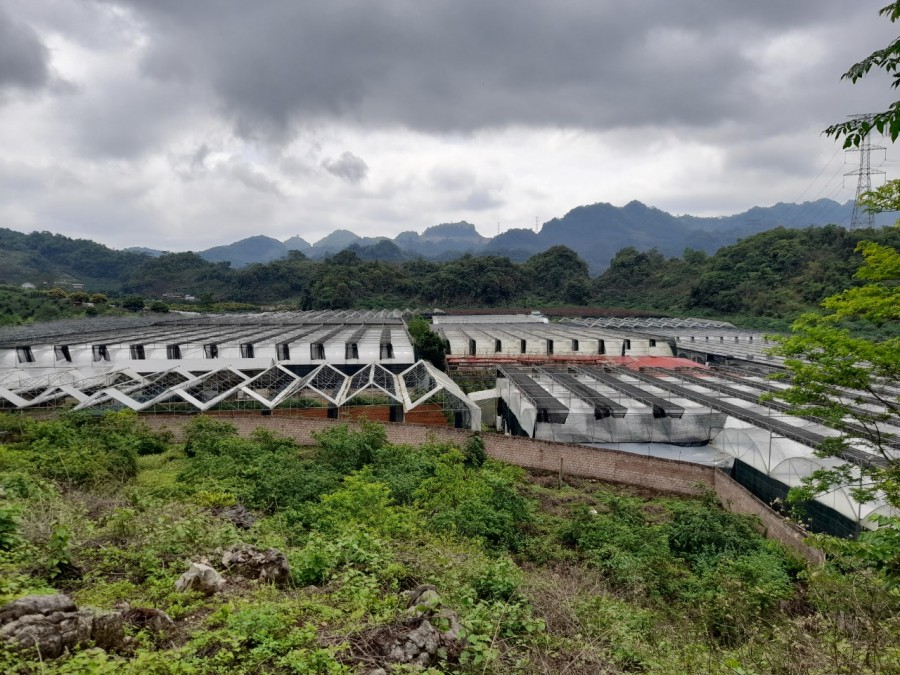 Đất nền trung tâm du lịch Quốc Gia Mộc Châu vị trí đắc địa khu dân cư đông đúc, pháp lí đủ