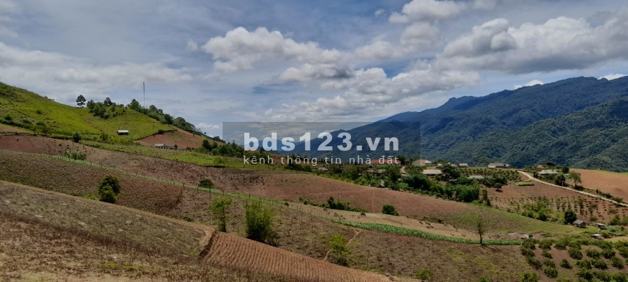 Cần bán mảnh 10ha làm trang trại ở Chiềng Sơn- Mộc Châu, giá rẻ