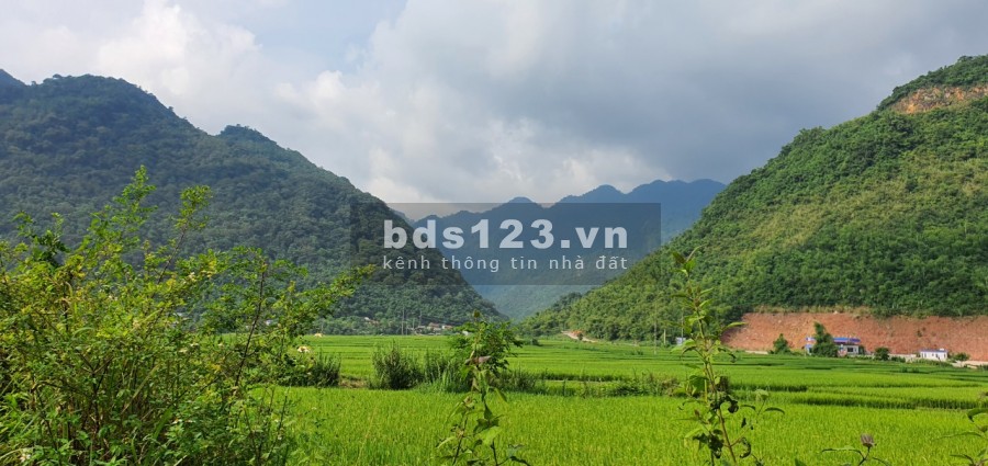 Cơ hội mua đất nghỉ dưỡng cực đẹp giá rẻ tại Châu Mai Hoà Bình, liên hệ 0966746668