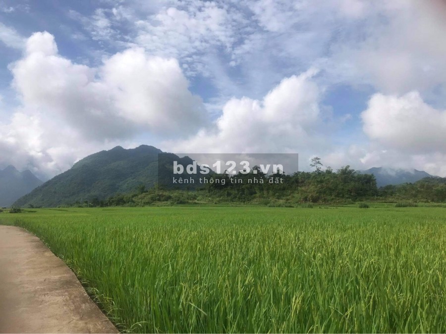Cơ hội mua đất nghỉ dưỡng cực đẹp giá rẻ tại Châu Mai Hoà Bình, liên hệ 0966746668