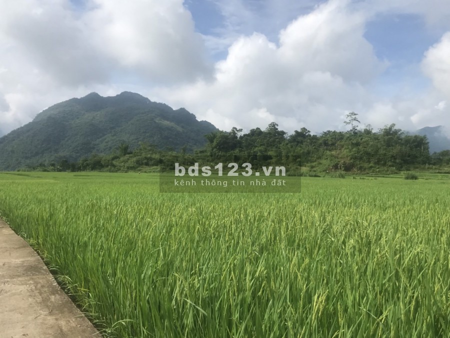 Cơ hội mua đất nghỉ dưỡng cực đẹp giá rẻ tại Châu Mai Hoà Bình, liên hệ 0966746668
