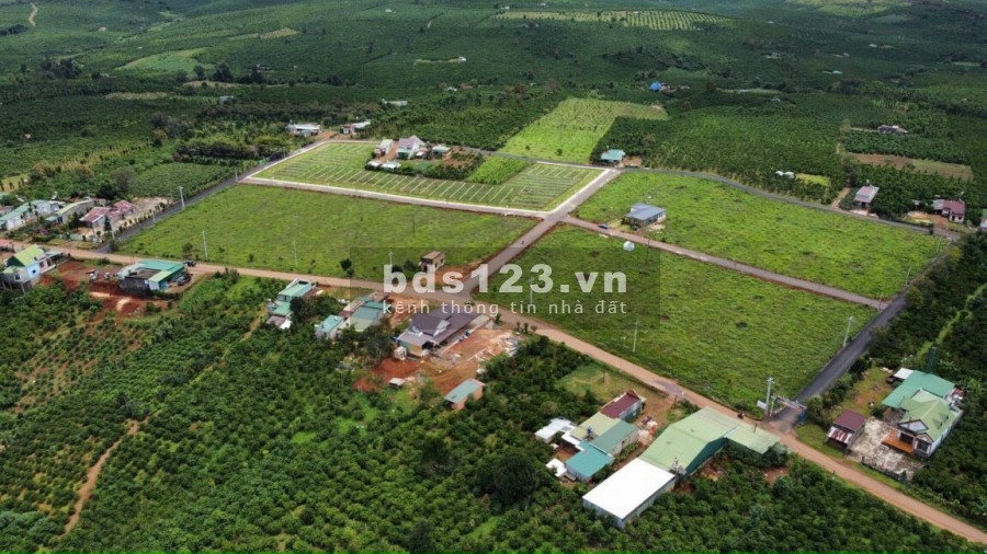 Đất Bảo Lộc Đón Đầu Cao Tốc Thích Hợp Nghĩ Dưỡng KD Homestay Chỉ 590Tr