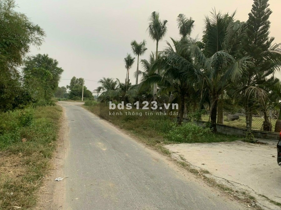 Cần bán 1ha1 mặt tiền đường nhựa xã Thái Mỹ Củ Chi đất full thổ cư lập dự án đô thị