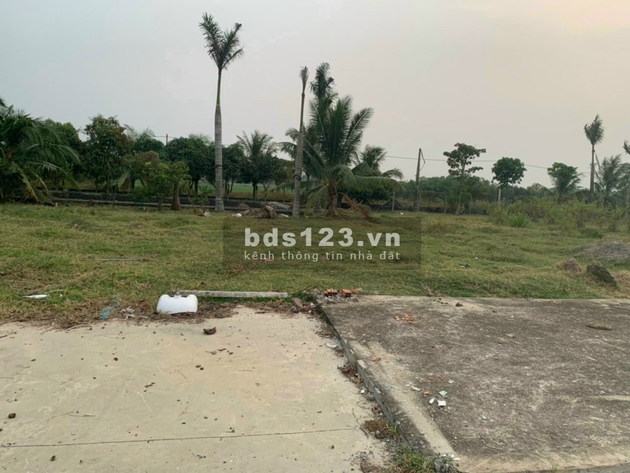 Cần bán 1ha1 mặt tiền đường nhựa xã Thái Mỹ Củ Chi đất full thổ cư lập dự án đô thị