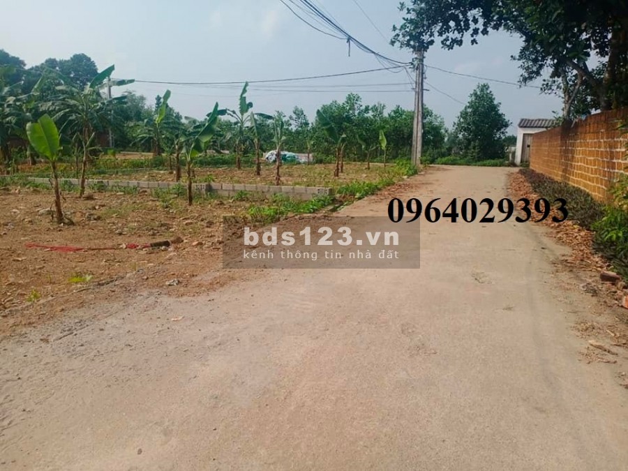 Giá sốc giảm giá vì dịch cần tiền bán đất vị trí đẹp lô góc xã Bình Yên- Hòa Lạc, lh 0964029393