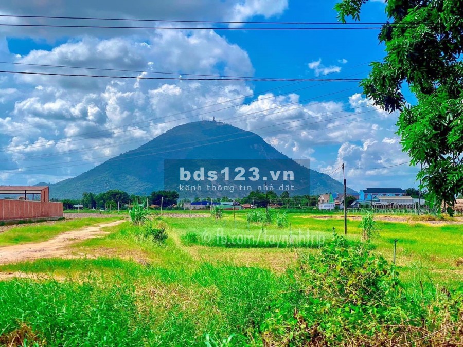 Tây Ninh Hàng Hót Gía Rẽ Mùa Dịch mặt bằng bằng phẳng, liên hệ xem đất 0964364550