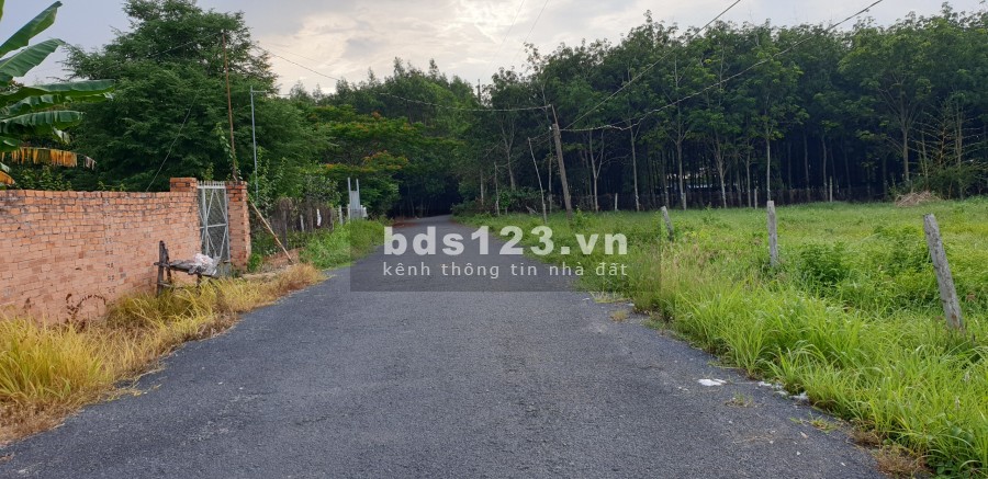 Bán lô đất nghỉ dưỡng Xã Phước Thuận chỉ 2.7 triệu/m2 khu dân cư, tiện ích đầy đủ