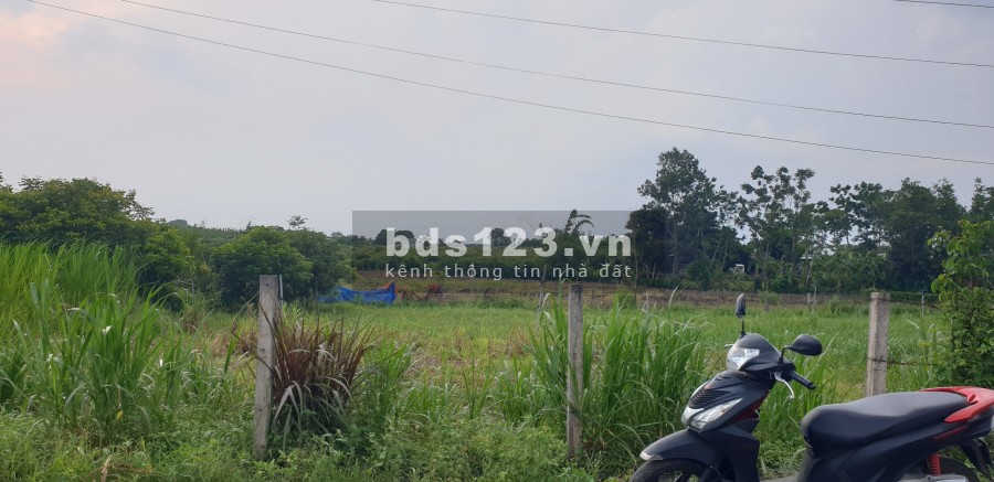 Đất gần chợ Xuyên Mộc chỉ 98.4 triệu/m2 ngang, bao sang tên công chứng khu dân cư