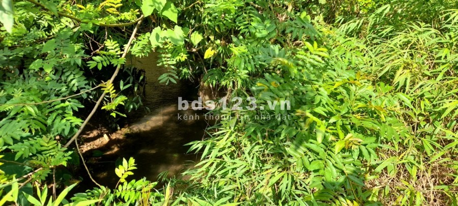 Cần bán diện tích sử dụng 800m2 Đất Mộc Châu gần các trung tâm hành chính công cộng