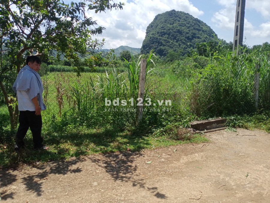 Bán gấp diện tích sử dụng 4530m2 full đất ở, đường rộng tại Cao Phong, lh 0968729955