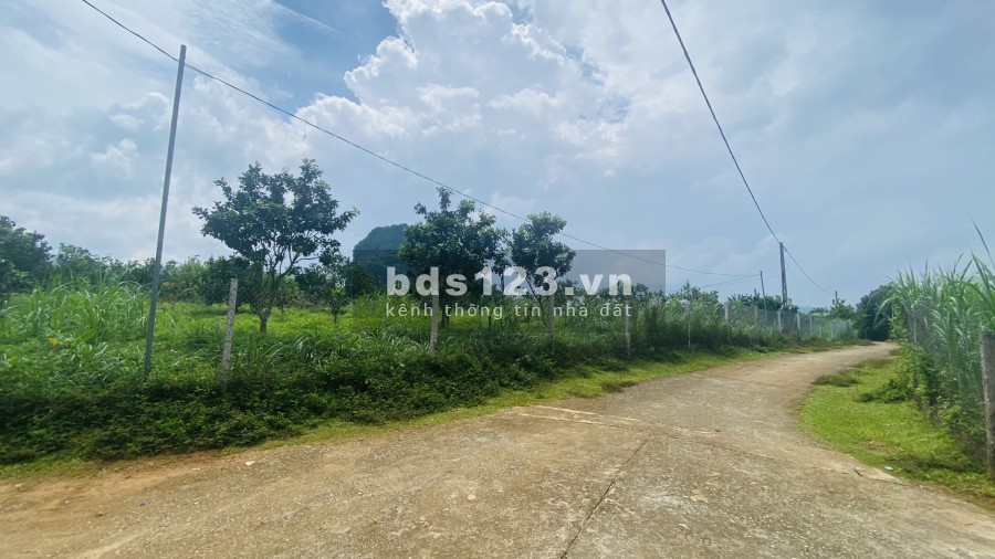 Bán gấp diện tích sử dụng 4530m2 full đất ở, đường rộng tại Cao Phong, lh 0968729955