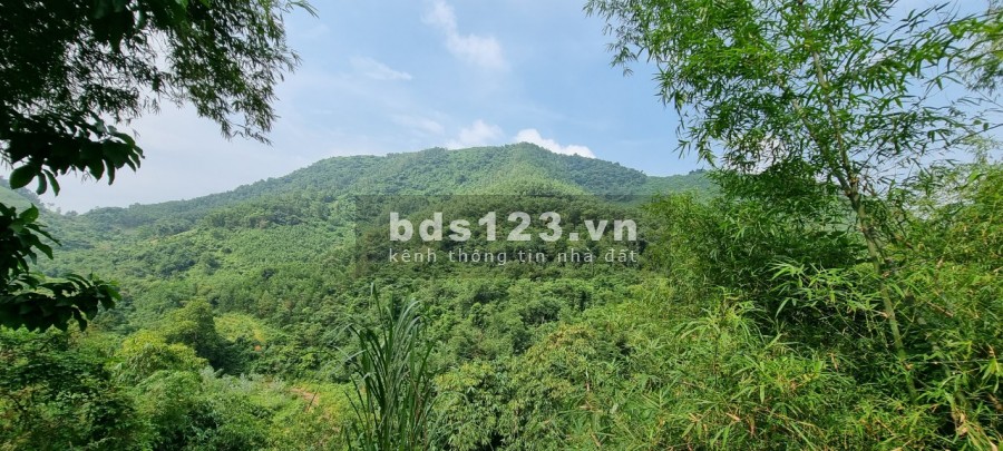 Bán đất Kim Bôi có suối thác siêu đẹp diện tích 10ha giá rẻ làm sinh thái tại Hoà Bình