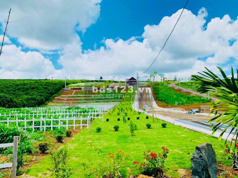 Đất đầu tư nghĩ dưỡng Bảo Lộc cách 10p đến cao tốc giá 590 triệu sổ sẳn chiết khấu 2%