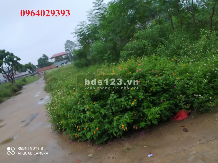 Sốc Lô đất đầu tư Sinh Lời Lợi Nhuận Cao vành đai công nghệ cao HÒA LẠC