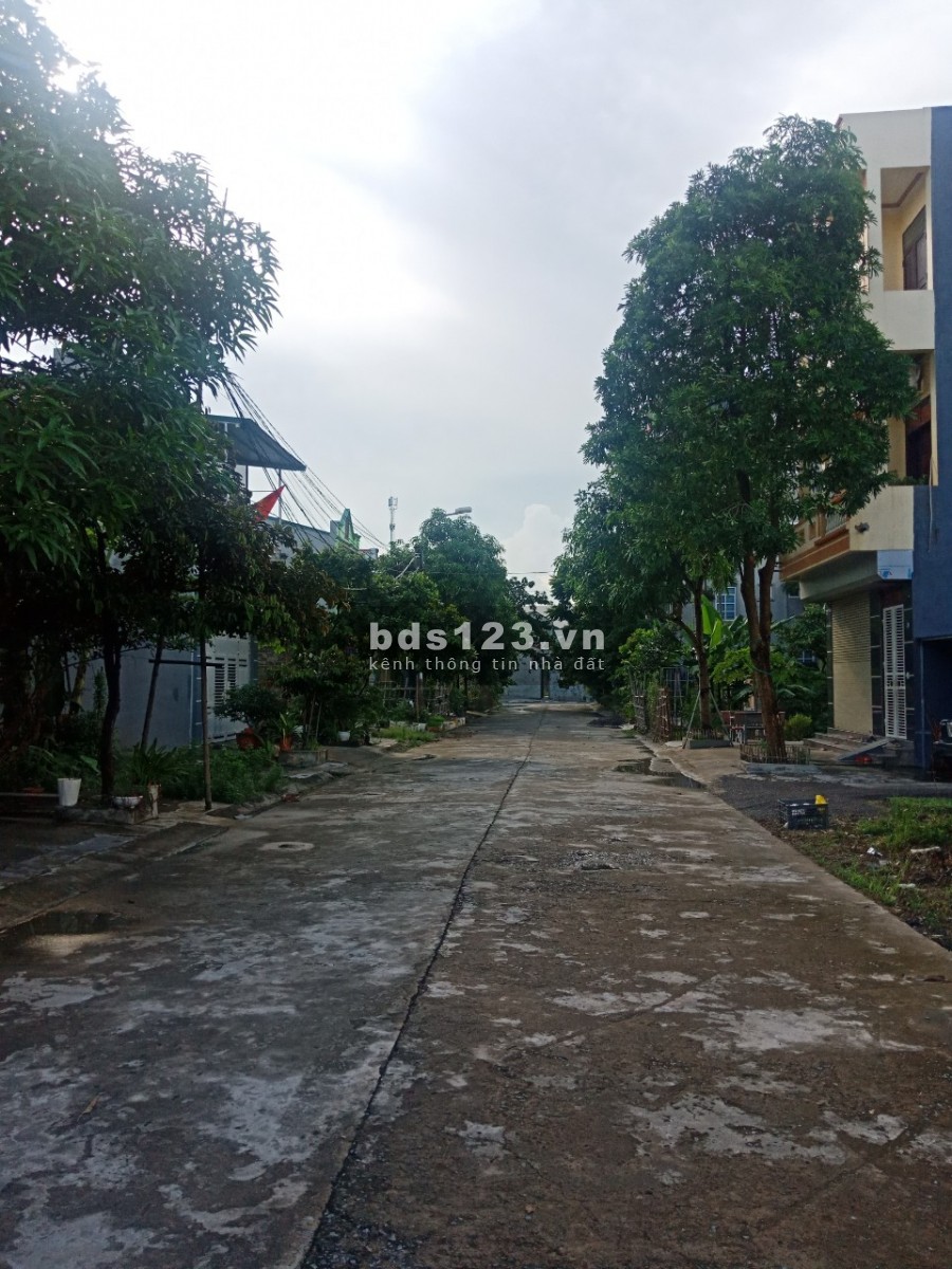 Gia đình cần bán gấp đất phố Trung Sơn, Bích Đào, diện tích sử dụng 77m2, giá 1ty650