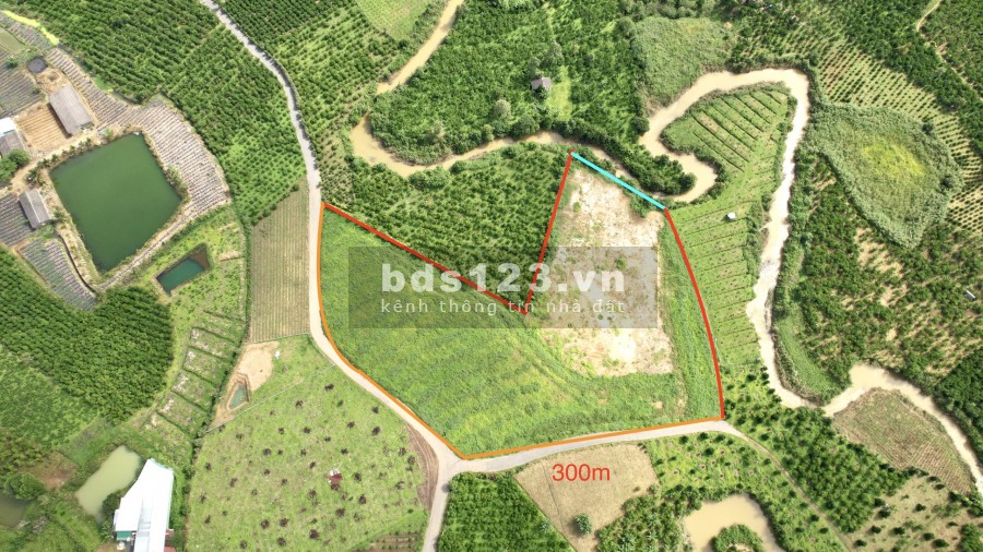Bán đất vườn ngay xã Lộc Châu thành phô Bảo Lộc - Đất đẹp giá rẻ, phù hợp đầu tư